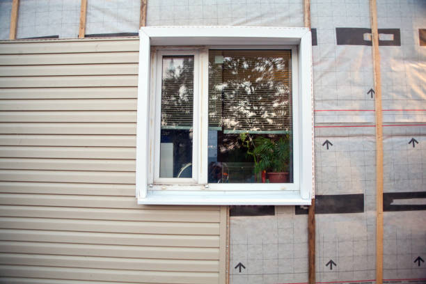 Best Storm Damage Siding Repair  in Manning, IA